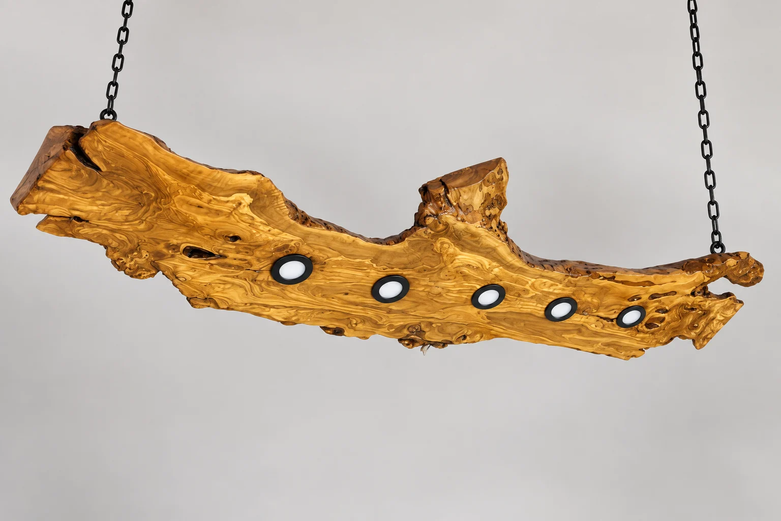 Enhanced full view of a branching olive wood fixture with five recessed spotlights and black chains