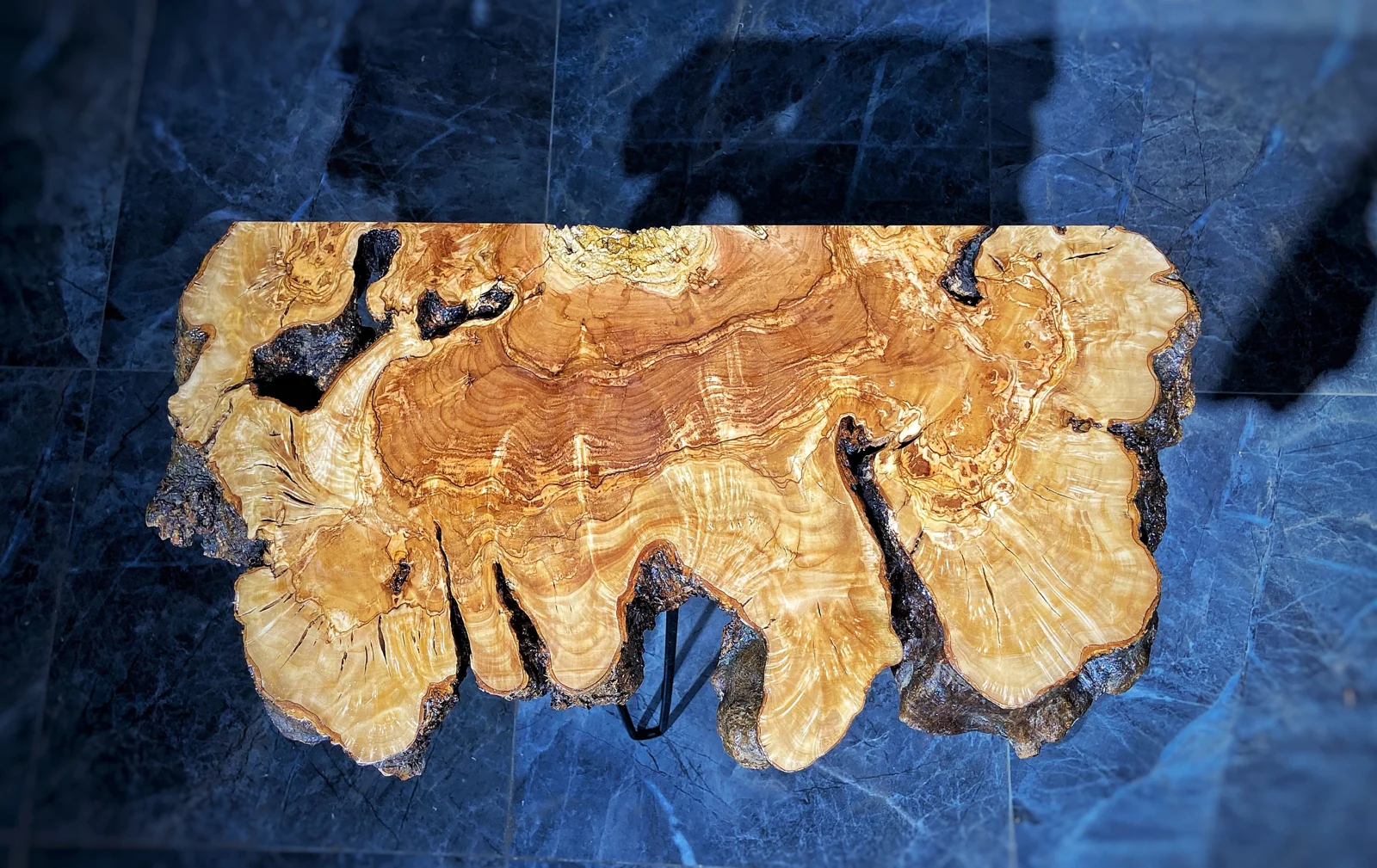 Top view of golden olive wood grain, knots and natural openings on a console slab