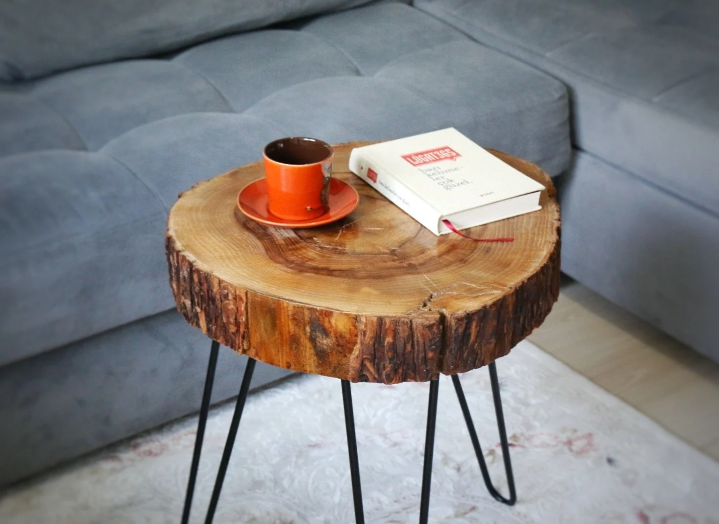 Rustic round live edge walnut coffee table with black hairpin legs in a living room