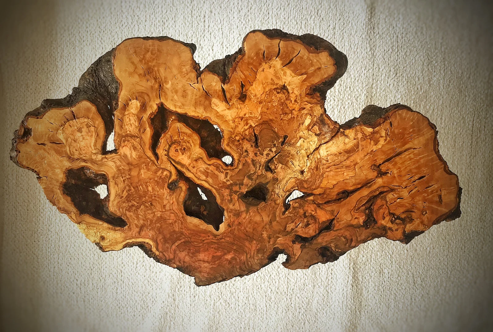 Overhead view of the olive wood tabletop with knots and natural openings