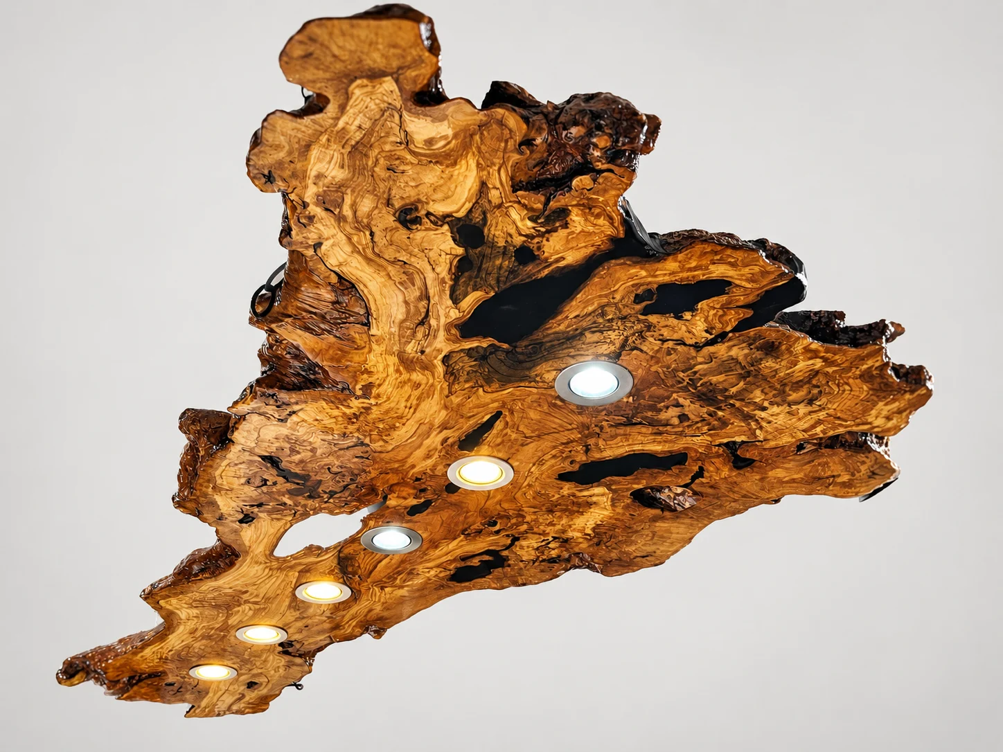 Sculptural live edge chandelier with six spotlights on a digitally cleaned studio background